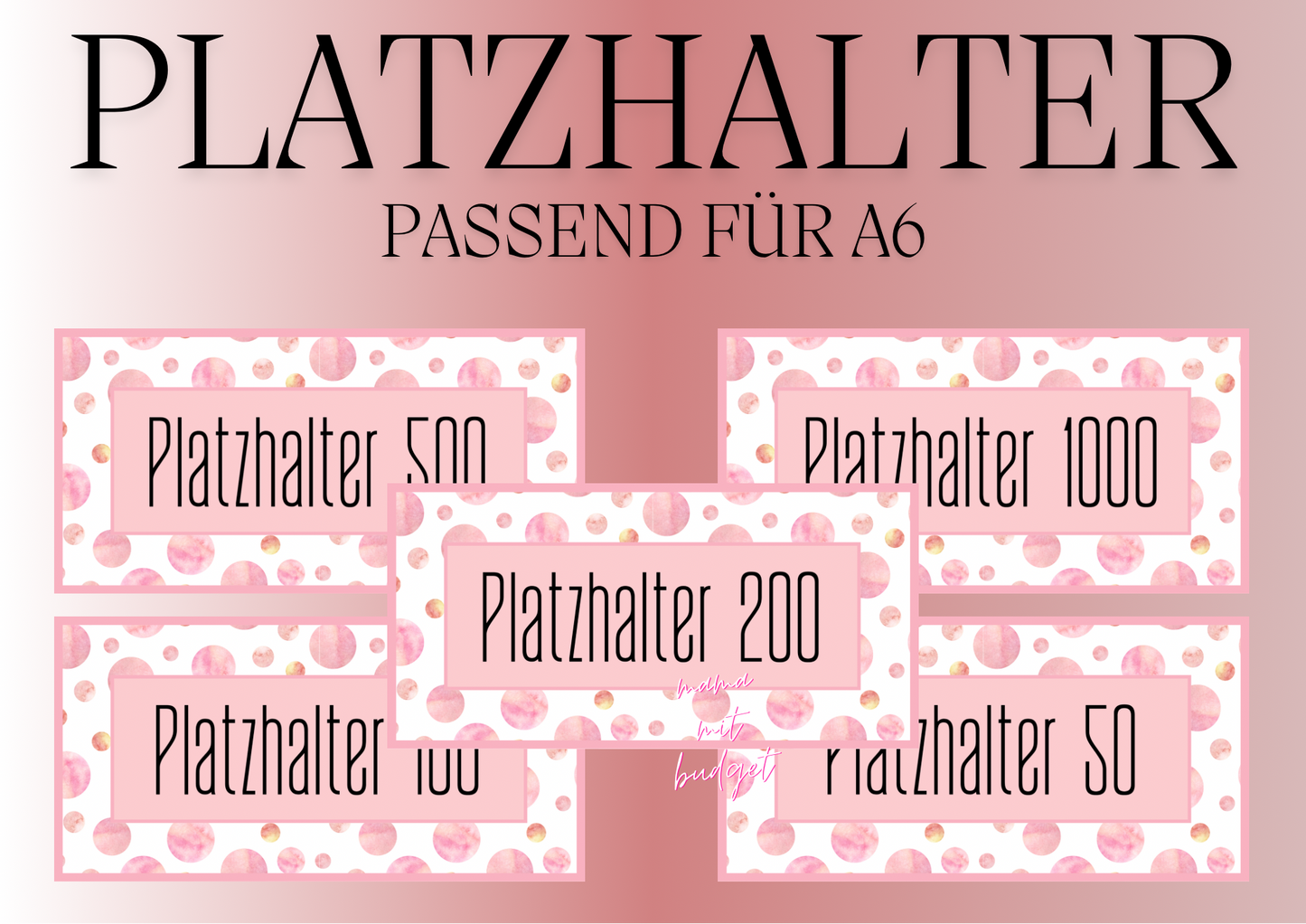 Platzhalter für Budget Binder A6